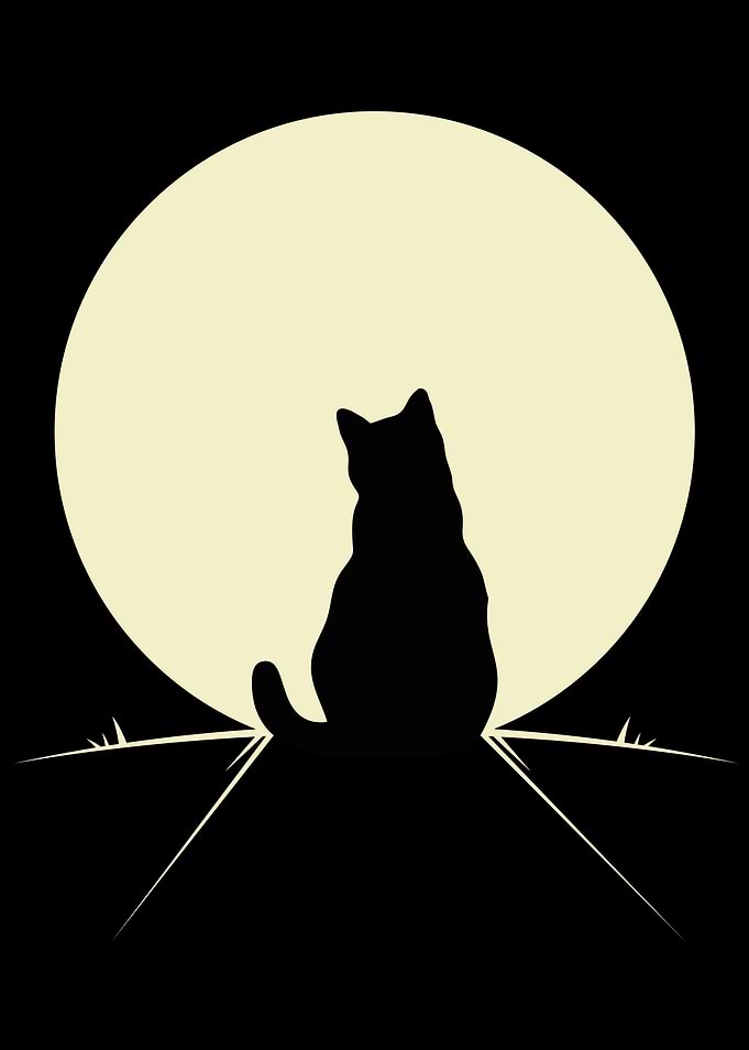 Cat Silhouette 2