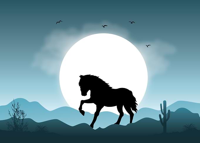 Horse Cute Animal