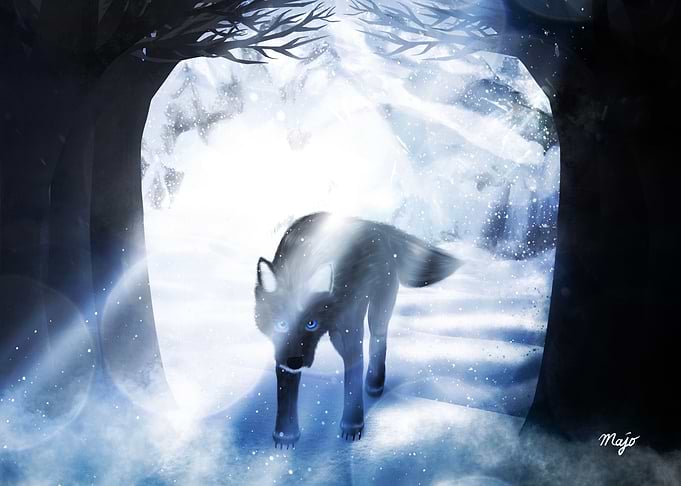 Wolf In The Snowy Forest