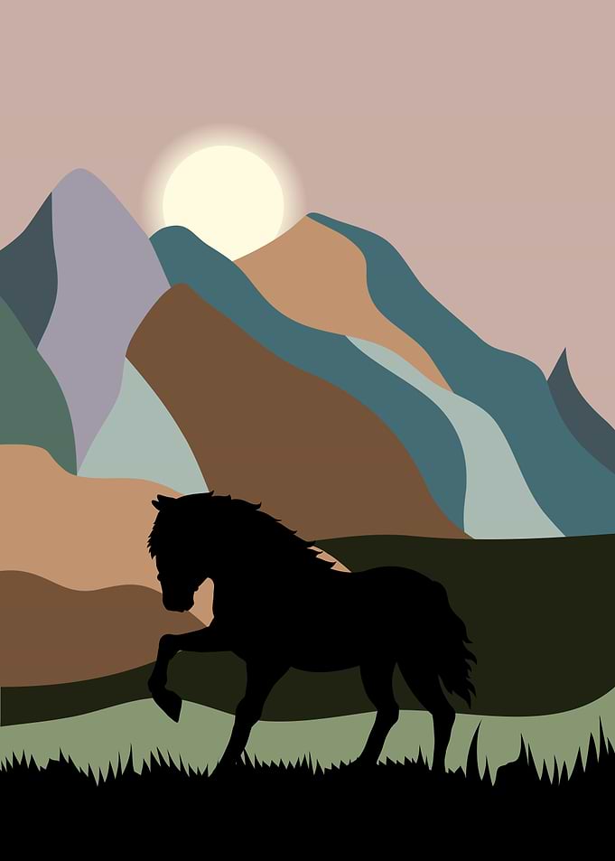 Horse Cute Animal