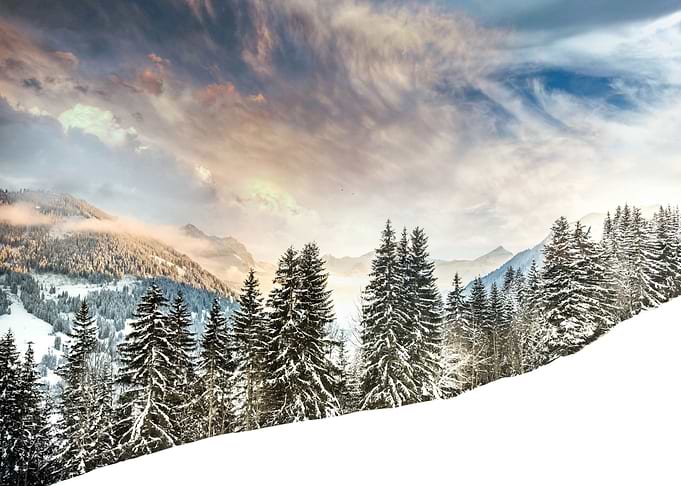 Winter Landscape Snow