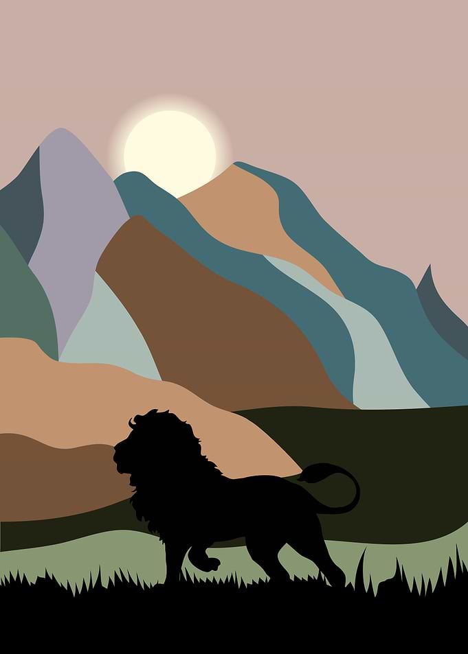 Lion Cute Animal