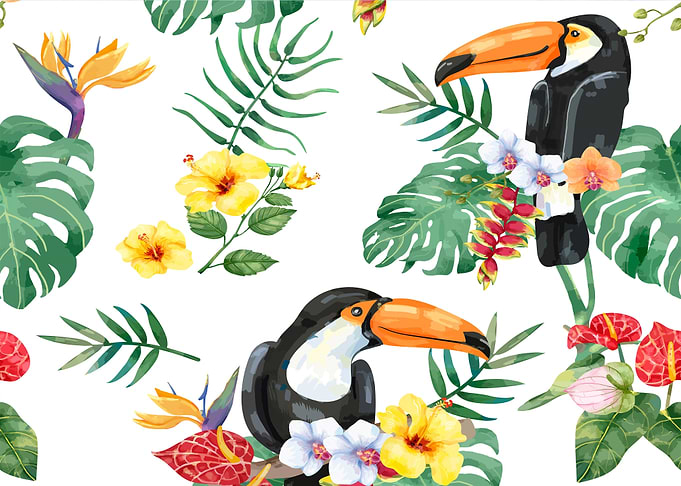 Toucan bird