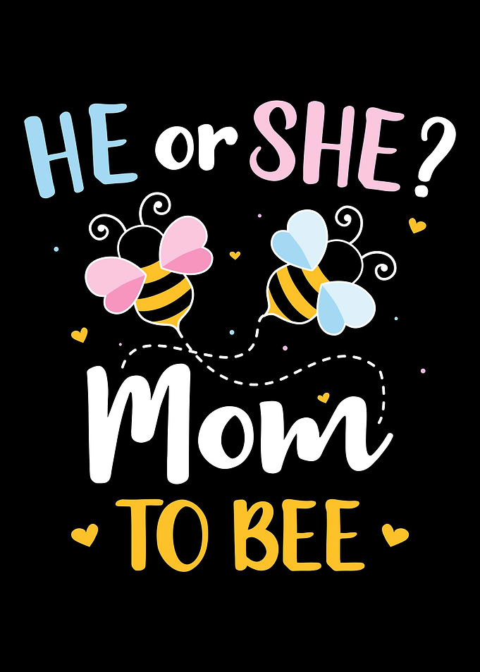 Gender reveal he or she mo