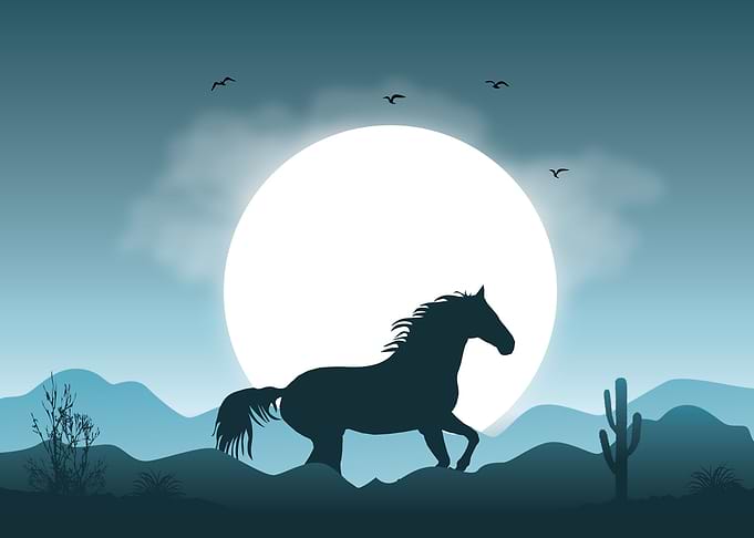 Horse Cute Animal