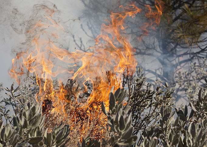 Swirling fires