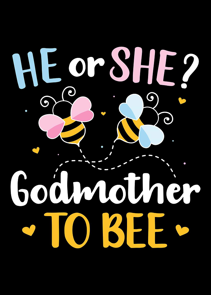 Gender reveal he or she go