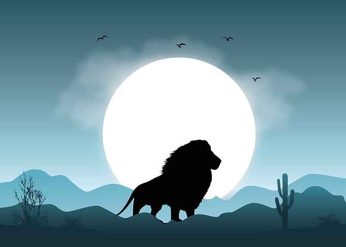 Lion Cute Animal