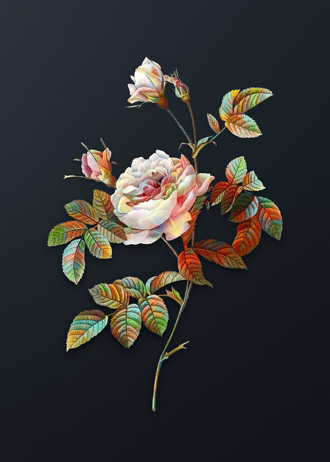Vintage Pink Rose Turbine