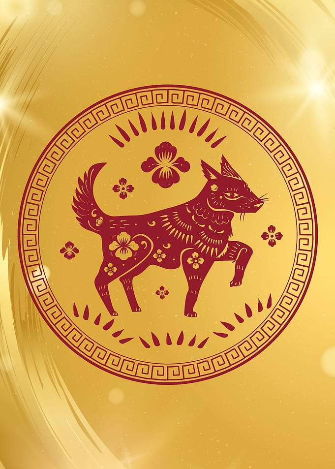 Zodiac The dog