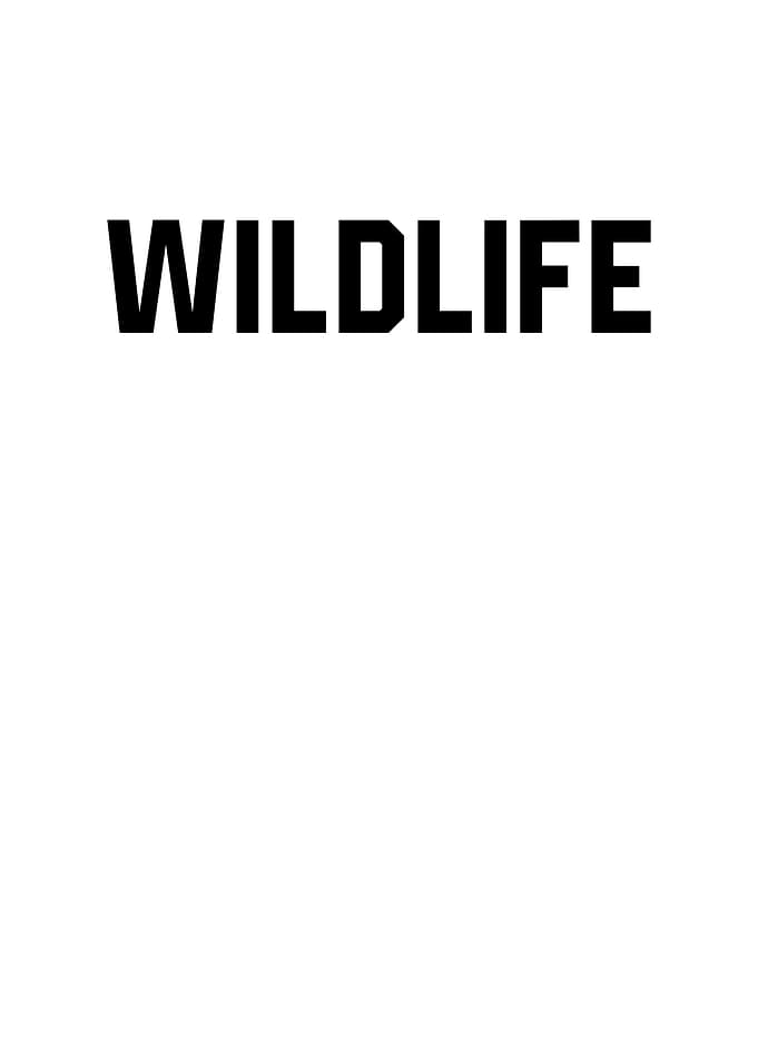 Wildlife