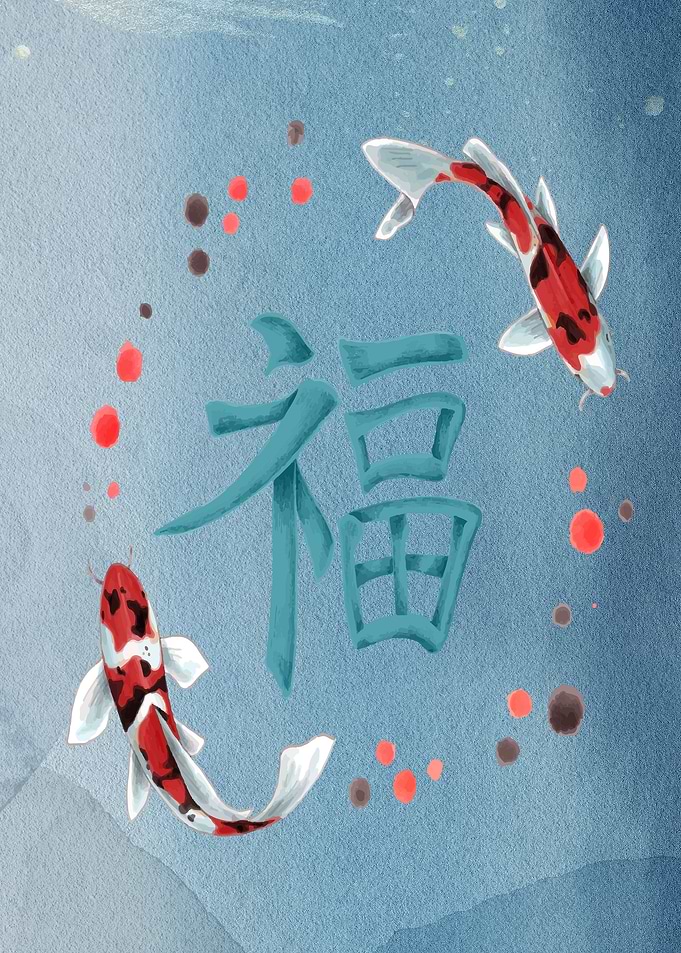 Lucky koi fish