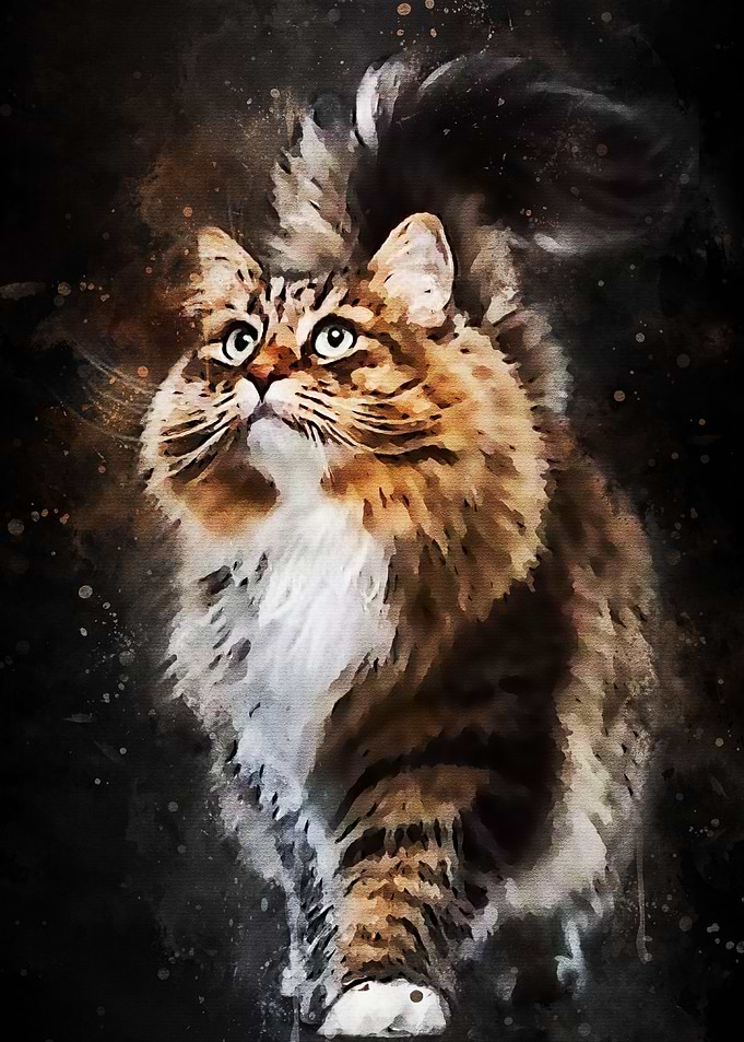 cat watercolort new