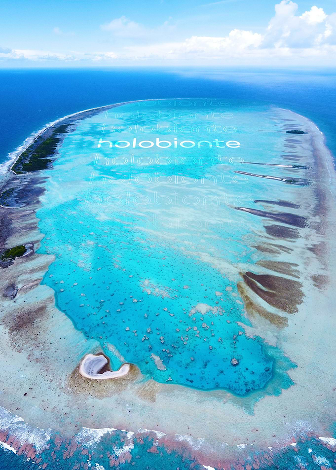 DIRTYBIOLOGY POLYNESIE