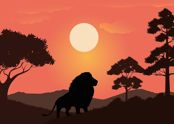 Lion Cute Animal