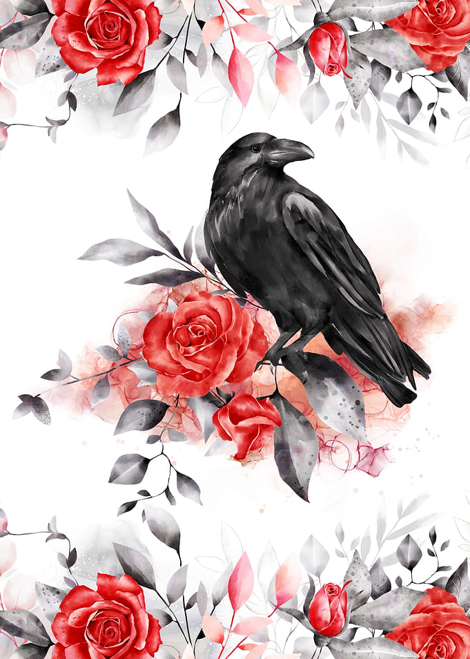 Rose and Black Crow