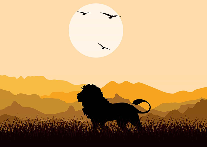 Lion Cute Animal