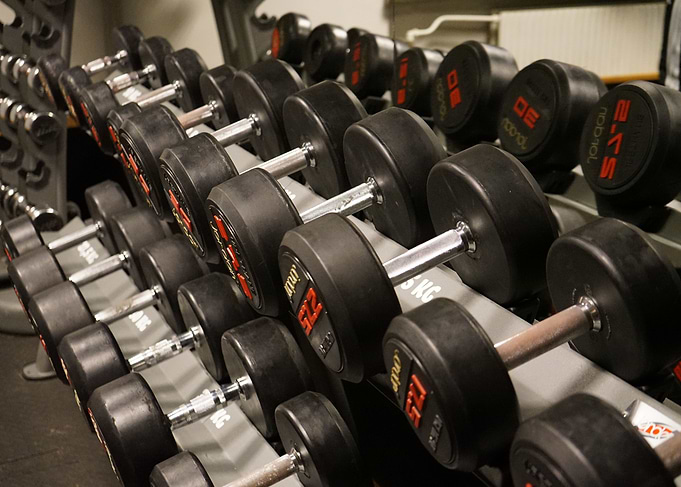 Rack of Dumb Bells