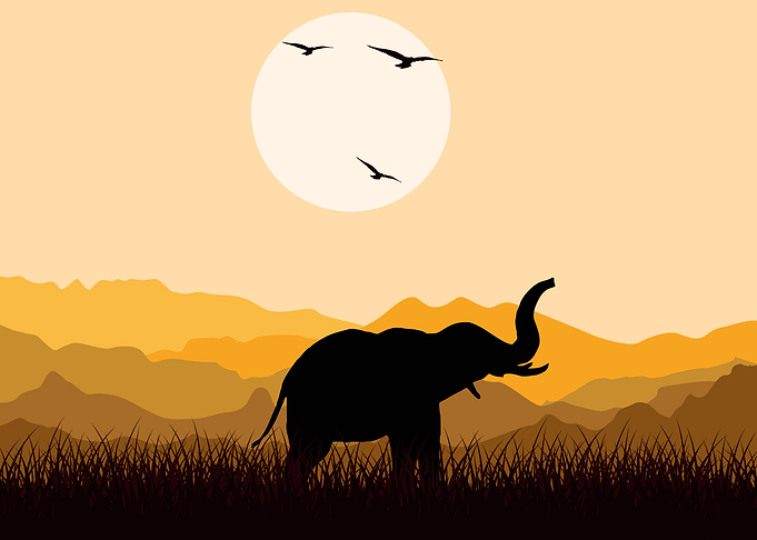 Elephant Cute Animal