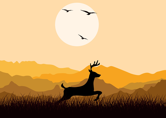 Deer Cute Animal