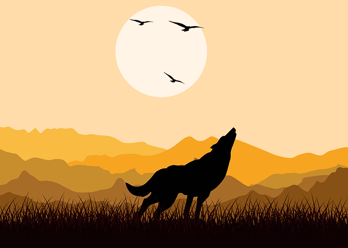 Wolf Cute Animal