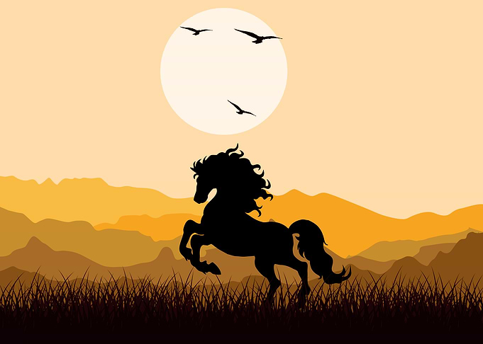 Horse Cute Animal