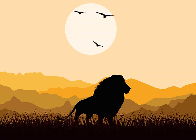 Lion Cute Animal