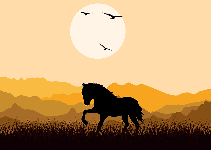 Horse Cute Animal