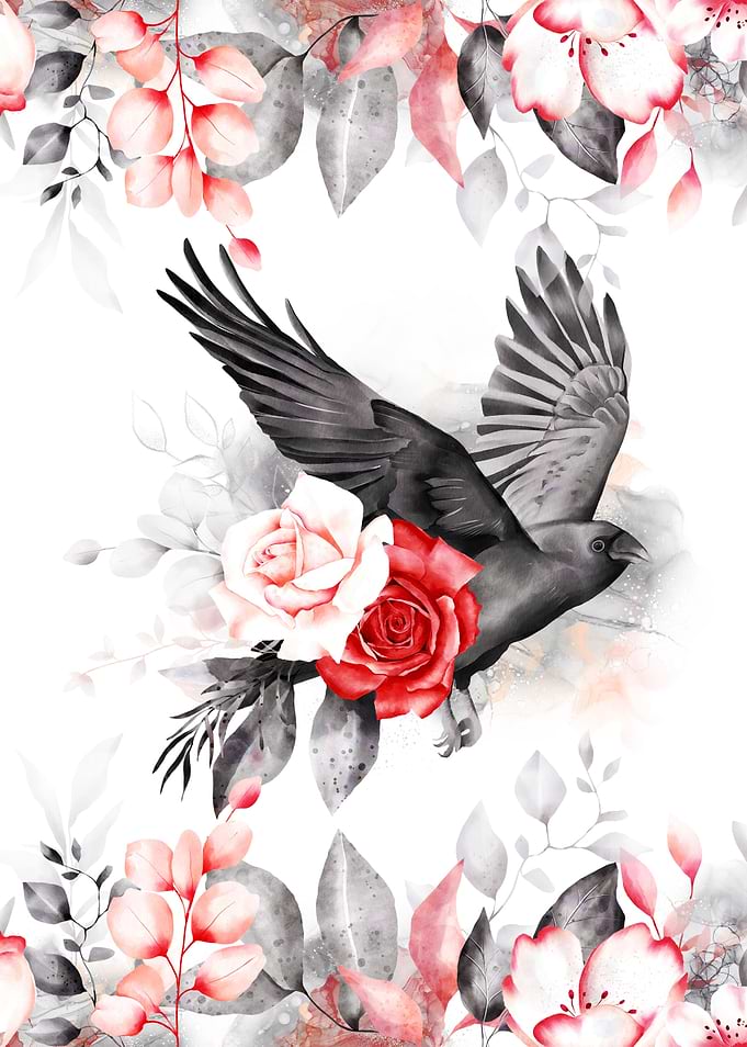 Black Bird
