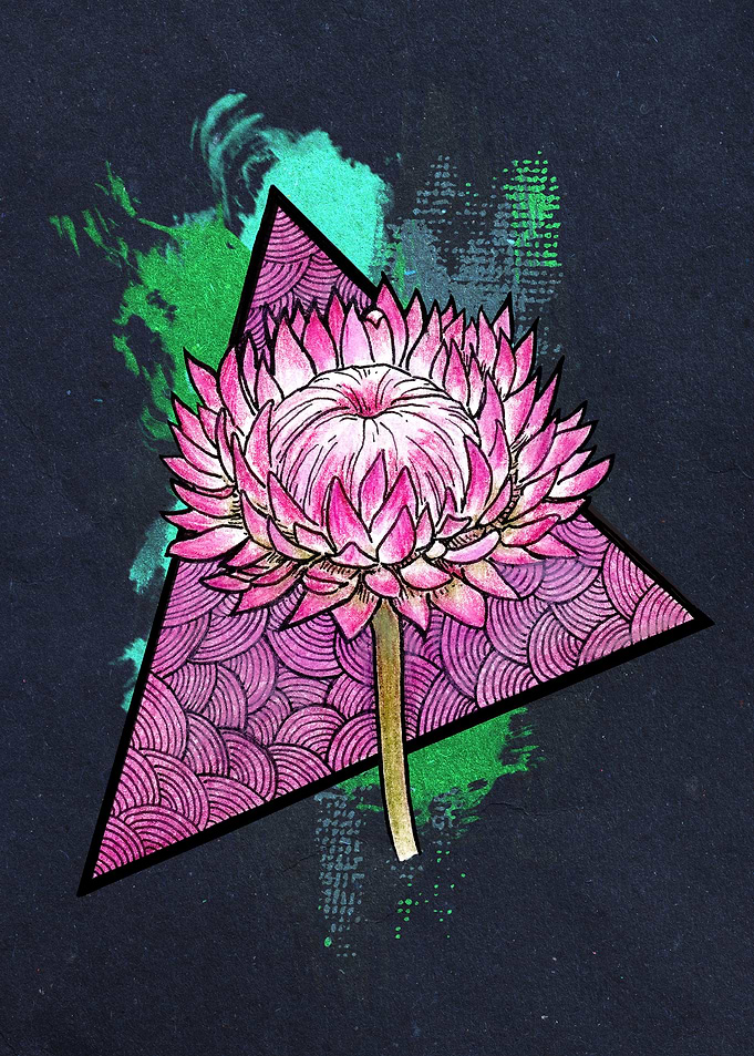 Pink Italicum Dark