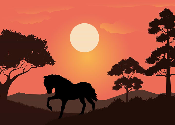 Horse Cute Animal