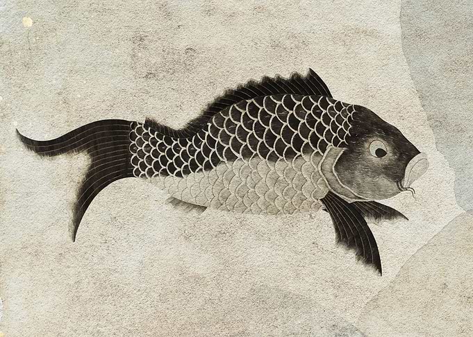 Carp fish black and white
