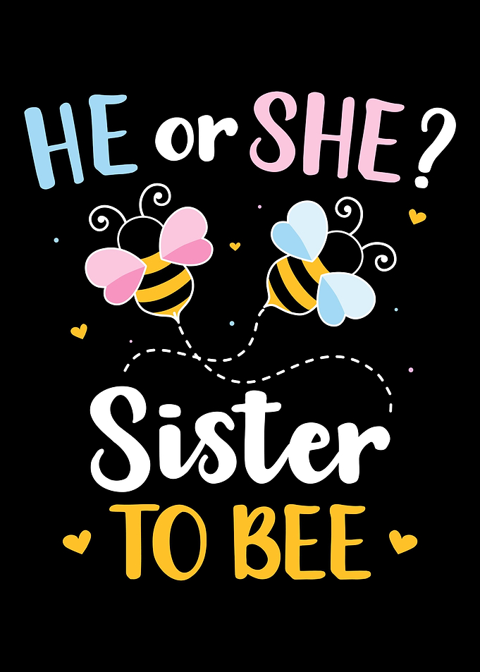 Gender reveal he or she si