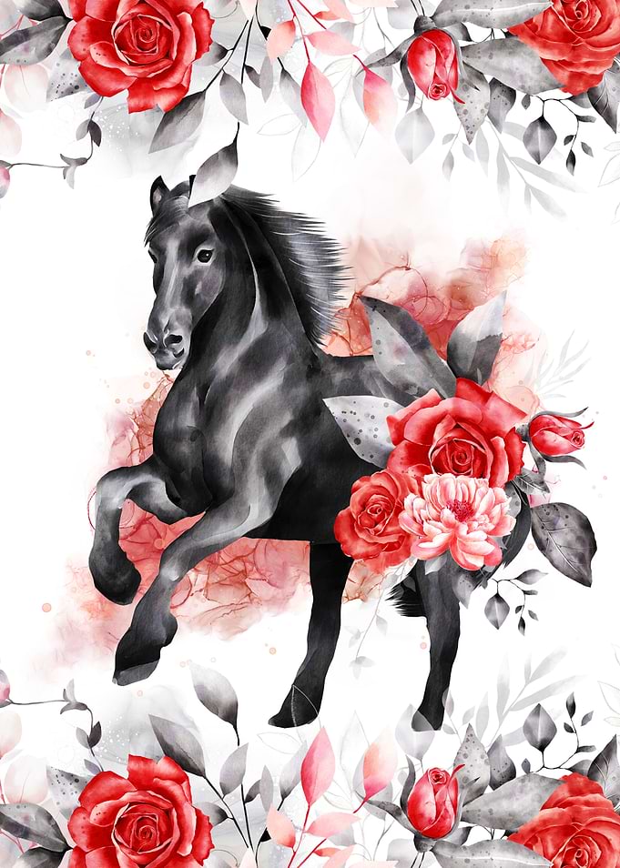 Black horse