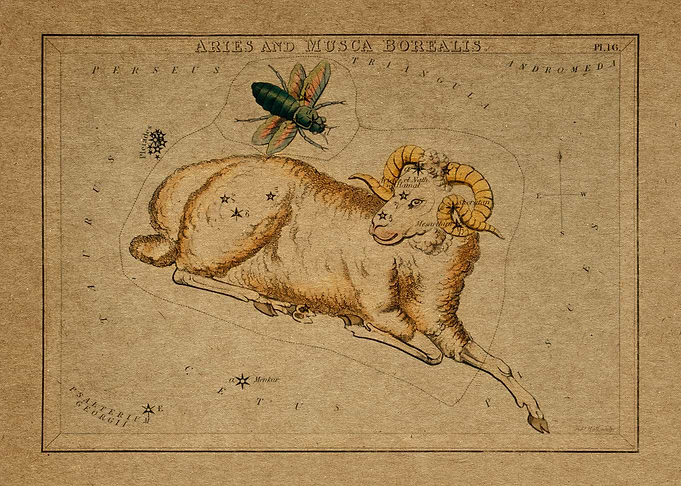 Aries and Musca Borealis