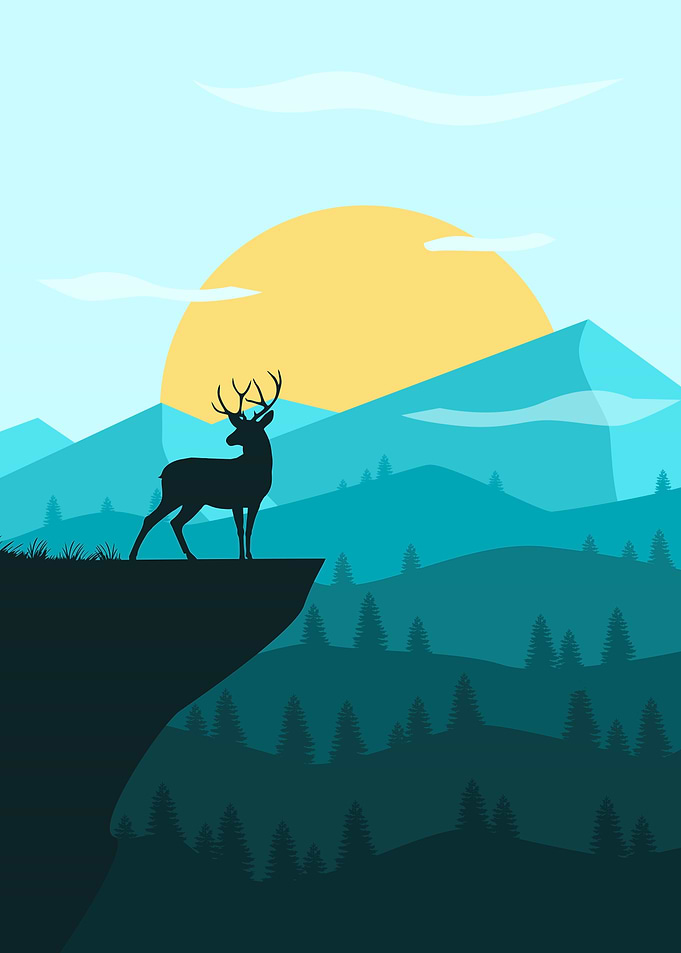 Deer In The Day
