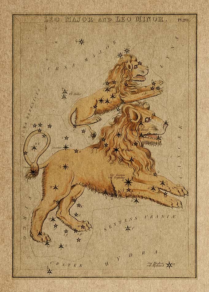 Leo Major