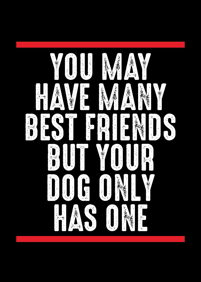 Your dog have one best fri