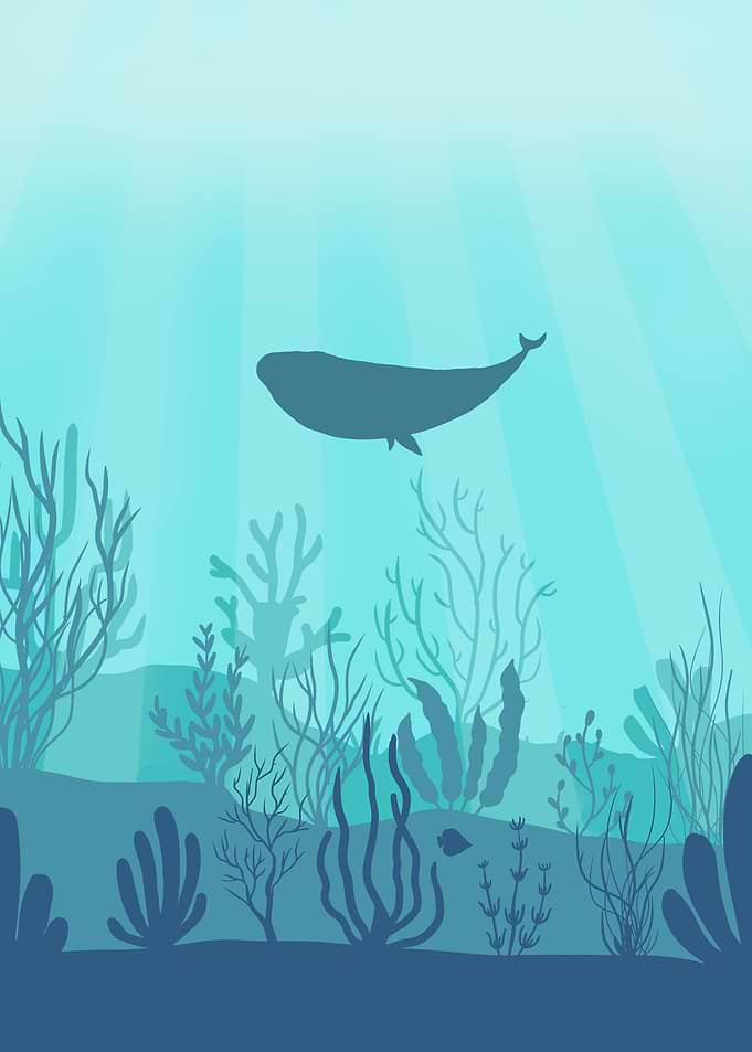 Under Sea