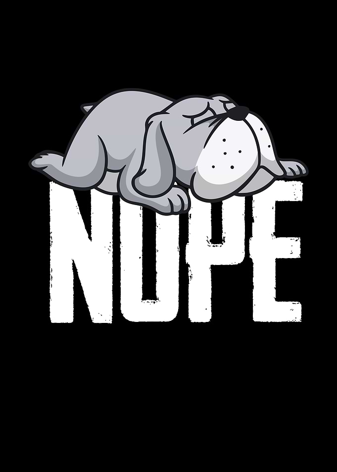 Nope Not Today Sleeping