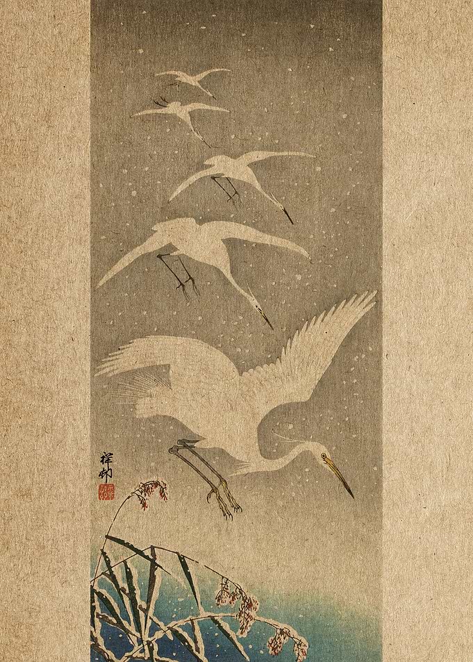 Descending egrets in snow