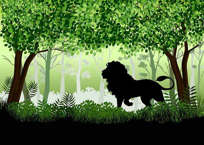 Lion