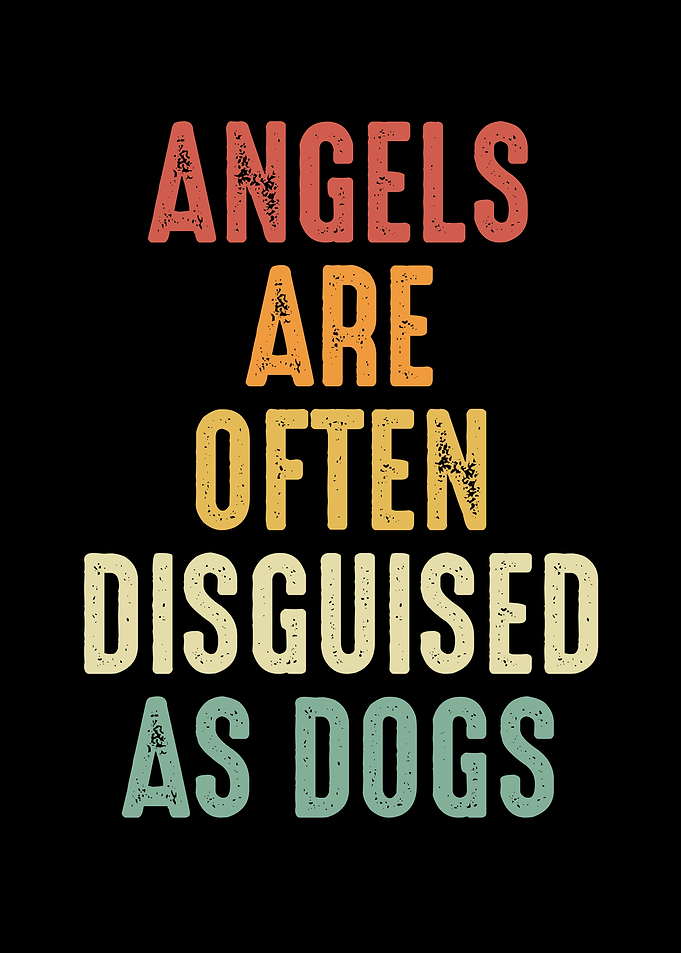 Angels are often disguised