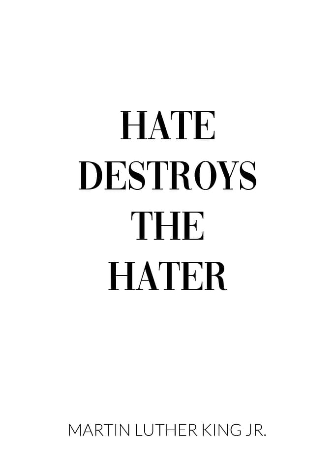 Martin Luther King Jr Hate