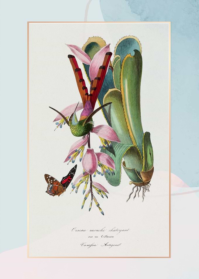 Humming bird