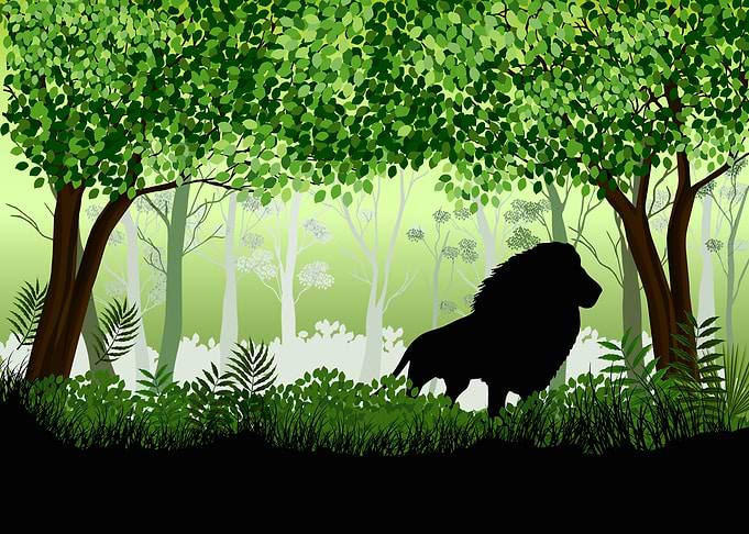 Lion