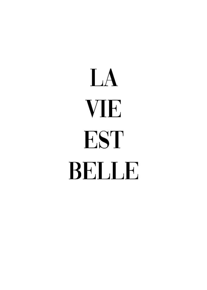 La Vie Est Belle
