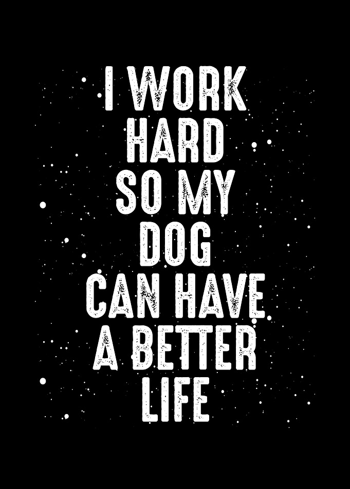 I work hard for my dog