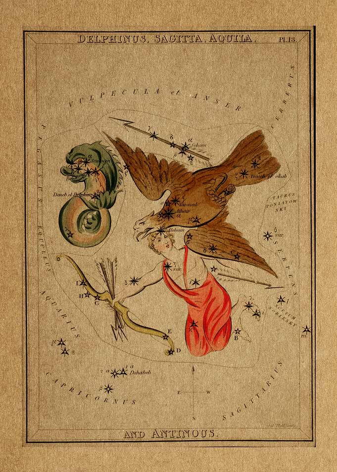 Delphinus chart