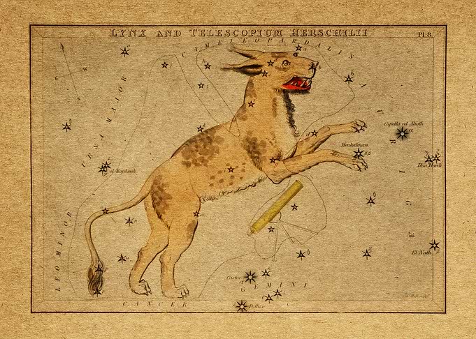 Lynx chart